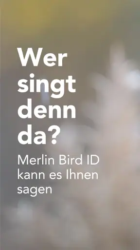 Merlin Bird ID von Cornell Lab screenshot 1