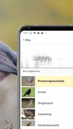 Merlin Bird ID von Cornell Lab screenshot 3