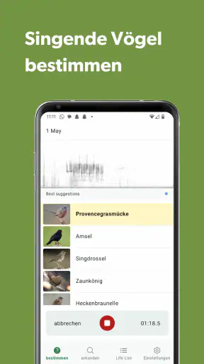 Merlin Bird ID von Cornell Lab screenshot 4