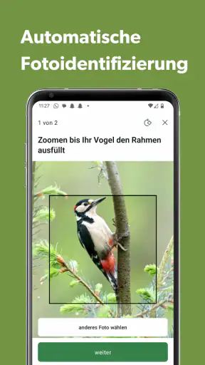 Merlin Bird ID von Cornell Lab screenshot 6