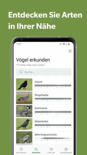 Merlin Bird ID von Cornell Lab screenshot 7