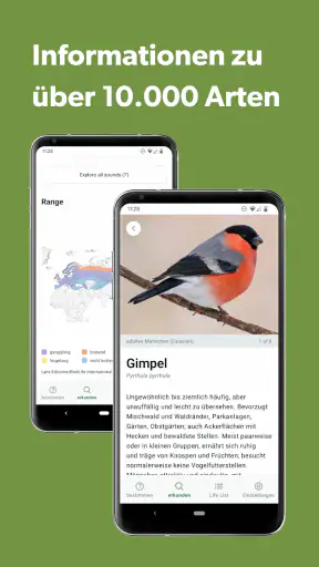 Merlin Bird ID von Cornell Lab screenshot 8