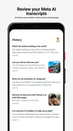 Meta AI screenshot 6