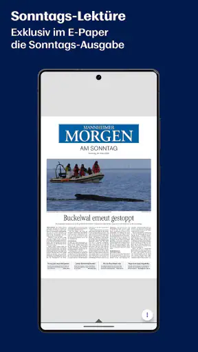 MM E-Paper screenshot 5