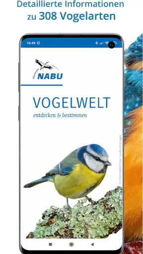 NABU Vogelwelt Vögel Bestimmen screenshot 1