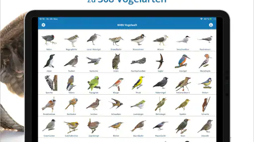NABU Vogelwelt Vögel Bestimmen screenshot 11