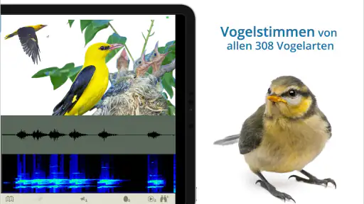 NABU Vogelwelt Vögel Bestimmen screenshot 12