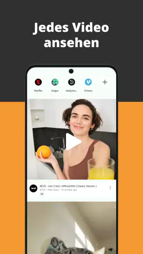 Video Browser screenshot 1