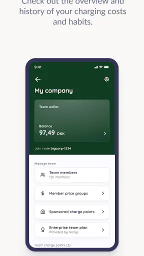 Norlys Charging screenshot 5
