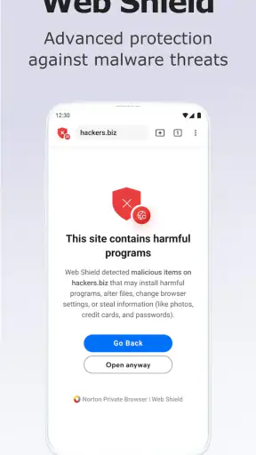 Norton Private Browser screenshot 2