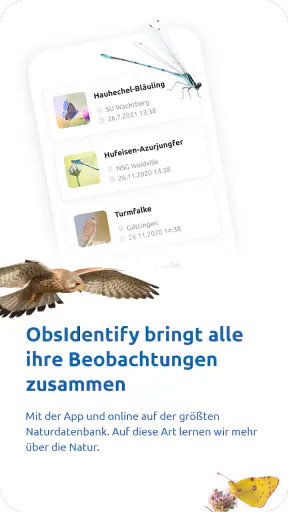 ObsIdentify screenshot 2