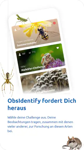 ObsIdentify screenshot 5