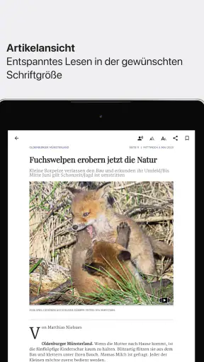 OM-E-Paper screenshot 12
