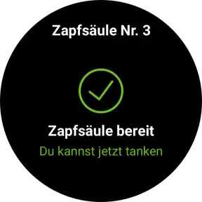 PACE Drive: Günstig tanken screenshot 11