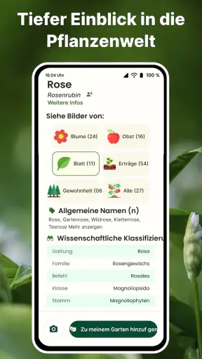 Pflanzen Erkennen auf Deutsch screenshot 4