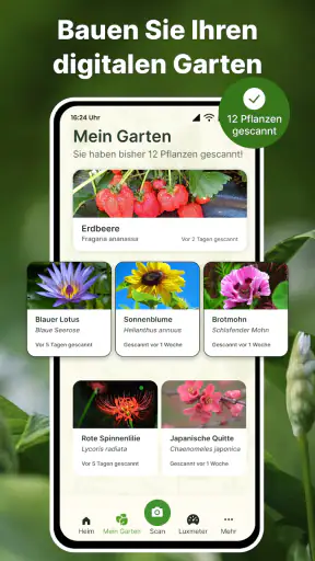 Pflanzen Erkennen auf Deutsch screenshot 5