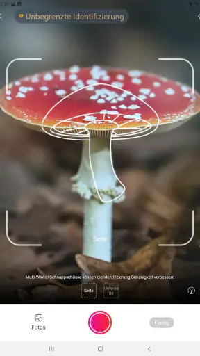 Picture Mushroom - Pilzführer screenshot 11