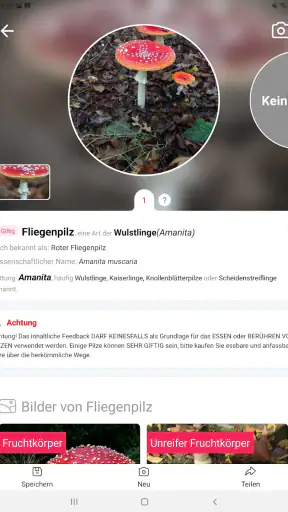 Picture Mushroom - Pilzführer screenshot 12
