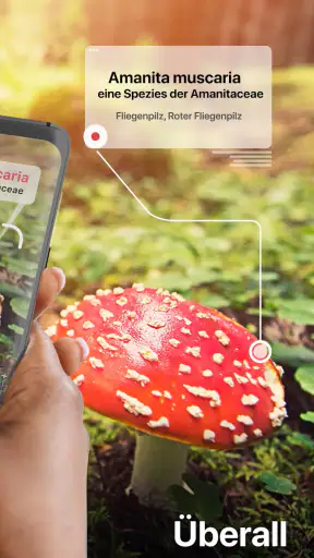 Picture Mushroom - Pilzführer screenshot 2