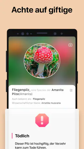 Picture Mushroom - Pilzführer screenshot 3