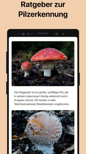 Picture Mushroom - Pilzführer screenshot 4