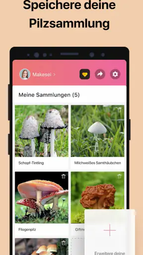 Picture Mushroom - Pilzführer screenshot 5