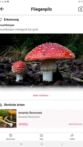 Picture Mushroom - Pilzführer screenshot 9