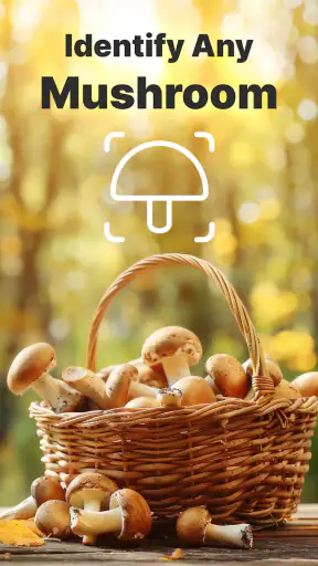 Pilze per Foto bestimmen screenshot 10