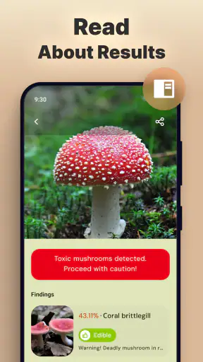 Pilze per Foto bestimmen screenshot 11