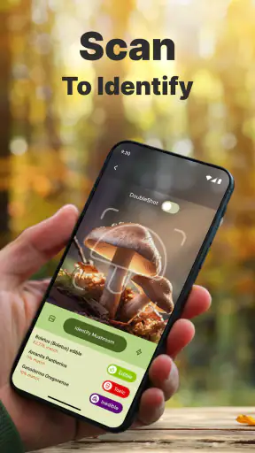 Pilze per Foto bestimmen screenshot 9