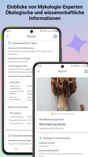 Pilzidentifikator screenshot 7