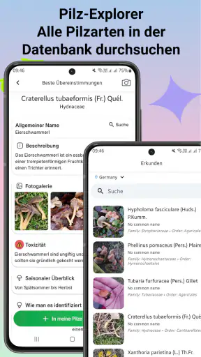 Pilzidentifikator screenshot 8
