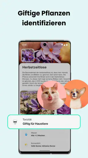 PlantCam: KI-Pflanzenerkennung screenshot 5