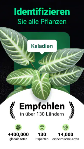 Plantum - Pflanzen bestimmen screenshot 1