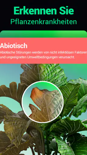 Plantum - Pflanzen bestimmen screenshot 10