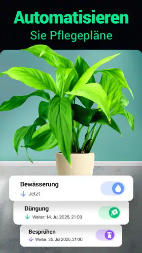 Plantum - Pflanzen bestimmen screenshot 11