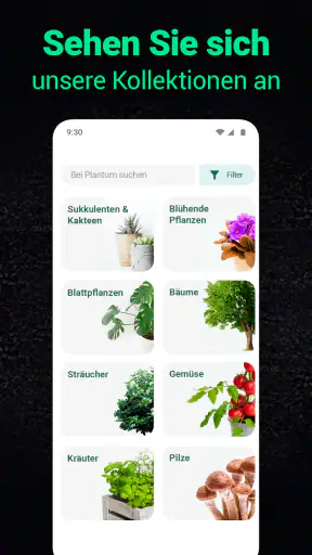Plantum - Pflanzen bestimmen screenshot 6