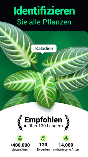 Plantum - Pflanzen bestimmen screenshot 9