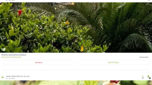 Pl@ntNet Pflanzenbestimmung screenshot 12