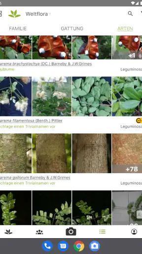 Pl@ntNet Pflanzenbestimmung screenshot 7
