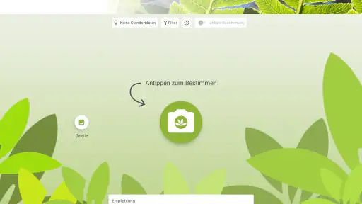 Pl@ntNet Pflanzenbestimmung screenshot 9