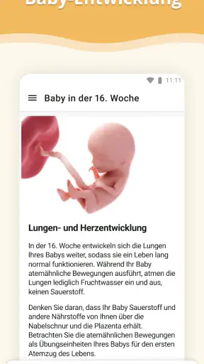 Schwangerschafts-App screenshot 2