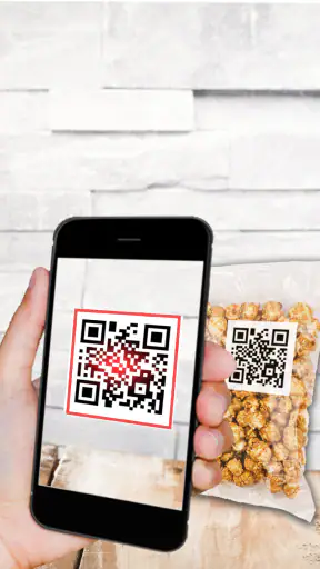 QR-Codeleser screenshot 1