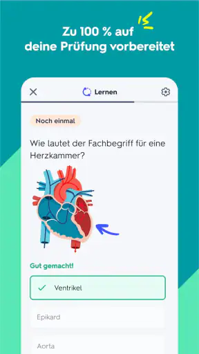 Quizlet: Karteikarten mit KI screenshot 3