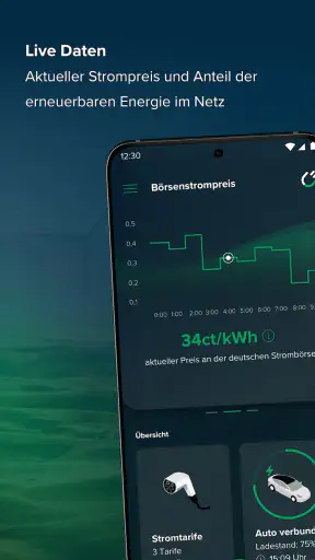rabot.energy screenshot 2