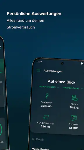 rabot.energy screenshot 3