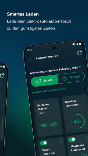 rabot.energy screenshot 4