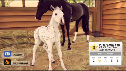 Rival Stars Horse Racing screenshot 11