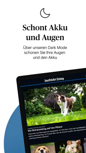 Saarbrücker Zeitung screenshot 11