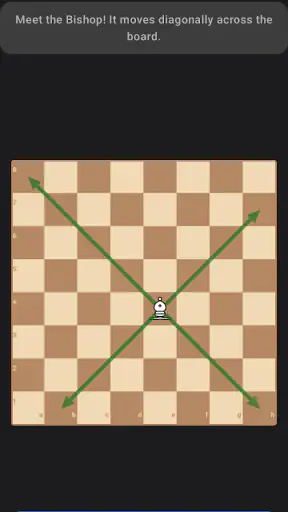 Schach lernen: Schach spielen screenshot 2